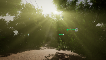 Darkest Forest